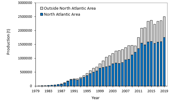 Worldwide production of farmed Atlantic salmon, 1980 to 2019.